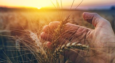 Nouryon's Product Stewardship