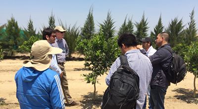 People discussing micronutrients deficiency in citrus in Peru. Our Micronutrients are essential ingredients in agricultural markets. 