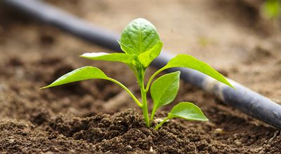 Nouryon supporting the SDG's