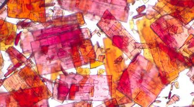 From modified methylaluminoxanes (MMAOs), poly-methylaluminoxane (PMAO) to isobutylaluminoxanes (IBAOs), we supply the world's largest range of modified aluminoxanes for use in single-site catalyst technology